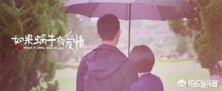 如果蜗牛有爱情大结局（如果蜗牛有爱情讲了几个大案子）