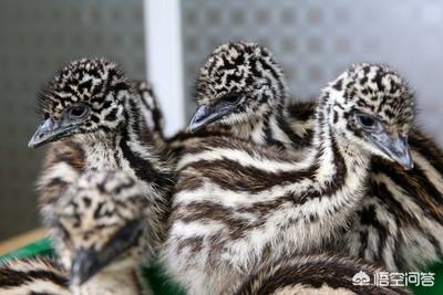 网络营销怎么带来收益