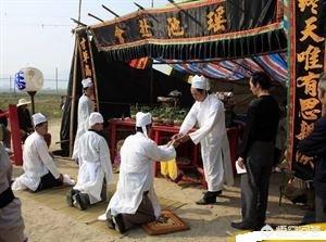 什么生肖命贱（贱打一动物最佳答案）