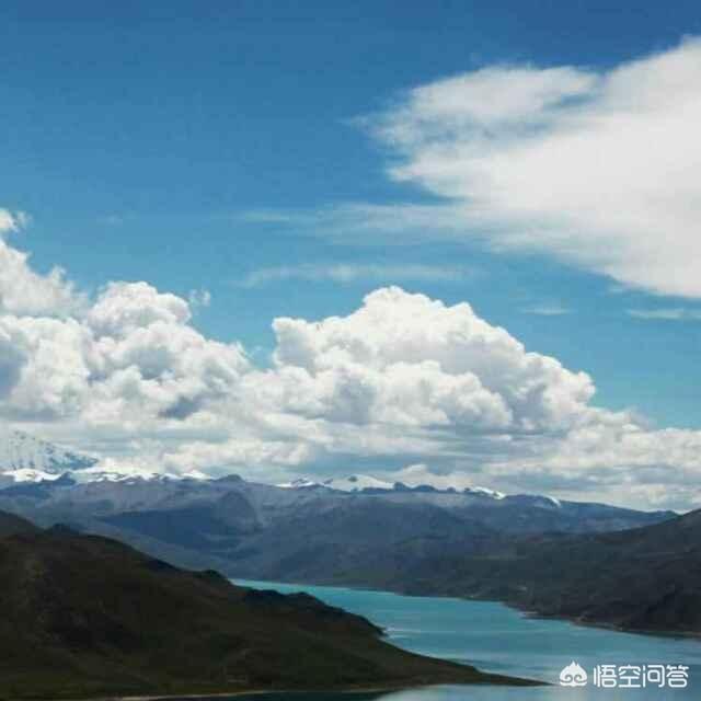 tudou-土豆网