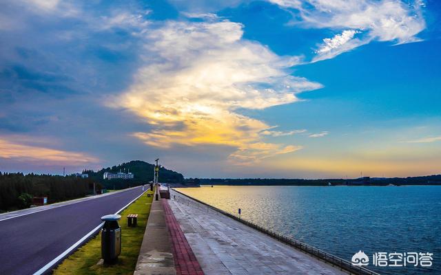 高端单反相机（十大顶级的ccd相机？）