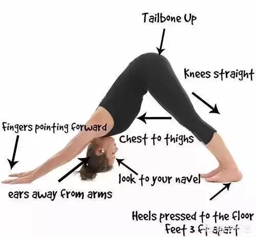 练习瑜伽上犬式和下犬式有什么好处,第11张