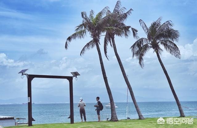 惠州市惠东县纸飞机账号购买