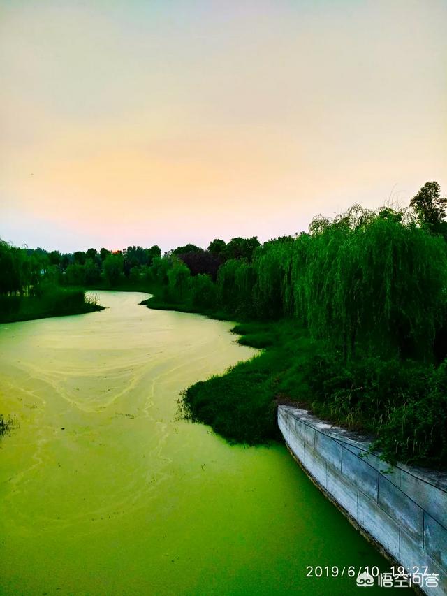 东滩湿地公园（东滩湿地公园可以赶海吗？）