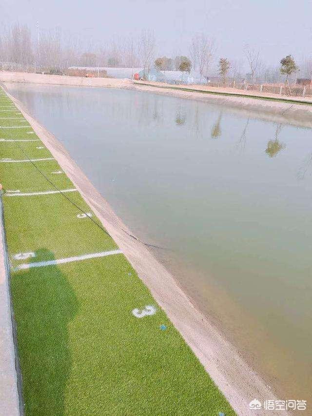 上乐上乐金刚