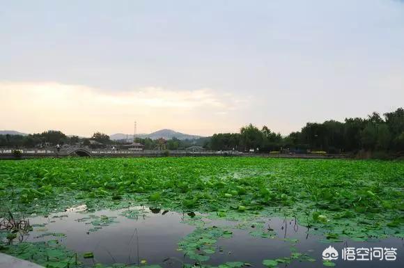 济南必去几个景点免费(图20)