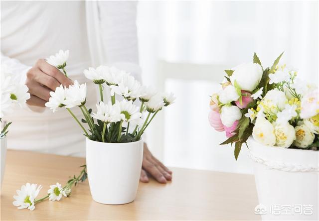 如何养护花卉植物,如何养护花卉植物视频