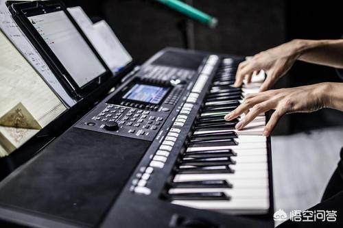 电子琴简谱上没有标和弦，左手应该怎么弹？：简单乐谱电子琴