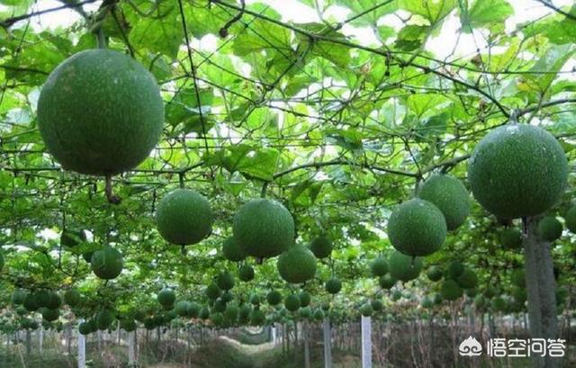 变压器密封用的橡胶密封制品一般都用哪些原材料呢？