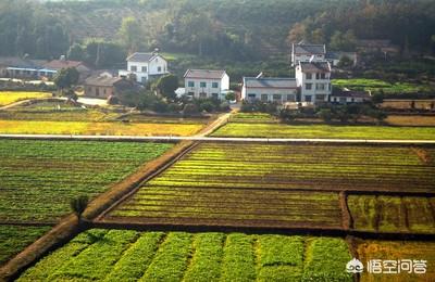 电商卖菜怎样做⎛⎞ 电商卖菜怎样做,怎么开启抖音平台没有粉丝流量