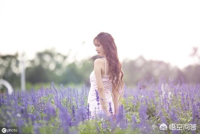 合适婚姻剧情分集介绍（合适婚姻电视剧分集简介）