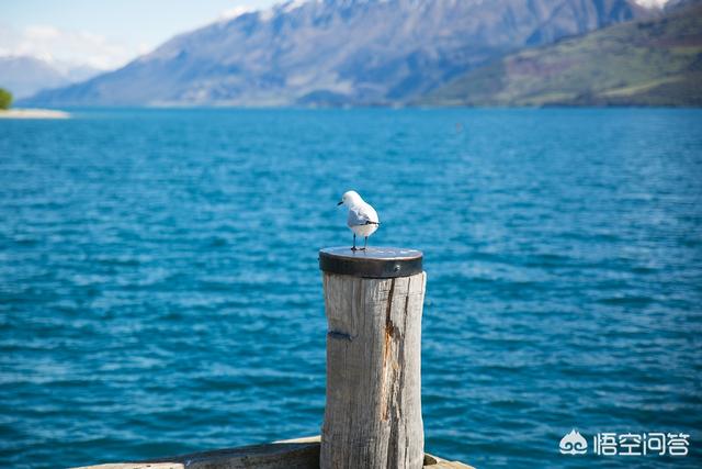 十一出游适合去哪玩（十一适合游玩的地方）