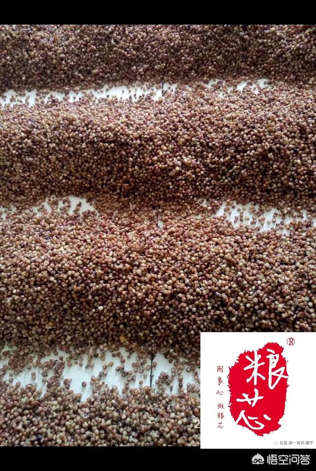 酿酒原料如何搭配最好喝(图5)