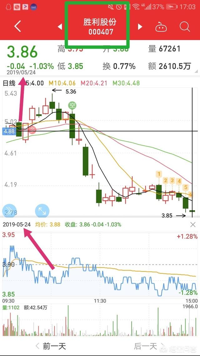 山东胜利股份-山东胜利股份有限公司