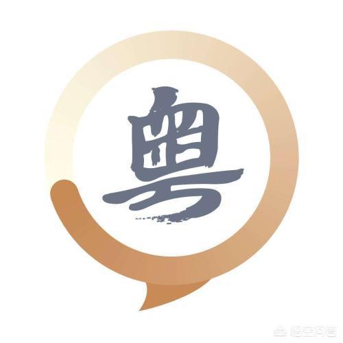 鸽子是什么意思(放白鸽子是什么意思)