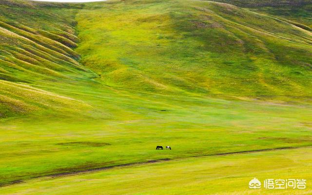 广阔无垠_广阔无垠是成语吗