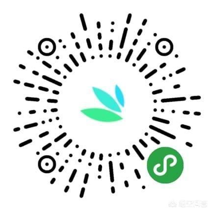 花朵网图（花朵网红图片）