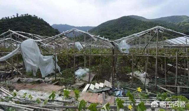 台风天如何应对活动板房安全隐患