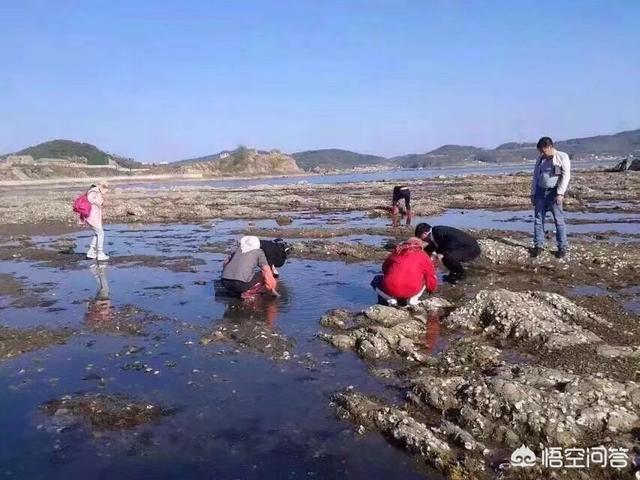 大连渔村攻略旅游路线， 大连渔村攻略旅游路线图