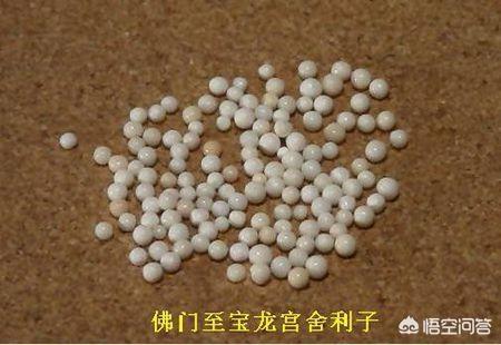 佛经中的生活哲理（佛经中的生活哲理有哪些）