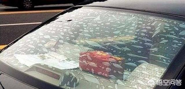 车模起泡怎么处理(图2)