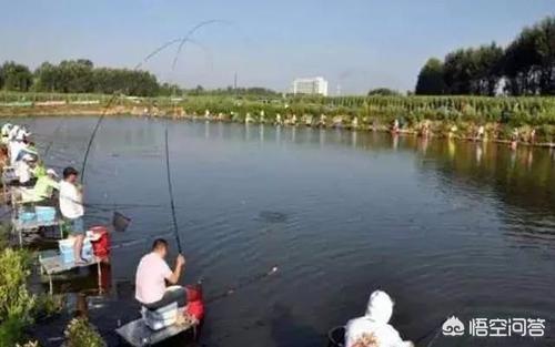 新手要如何搭配竿子好看(图3)
