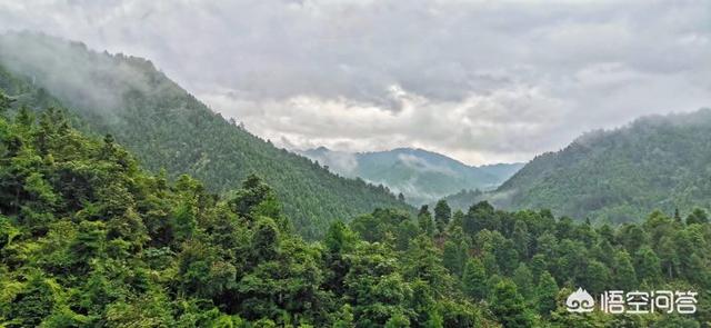 旅游景点门票对老人和学生以及一般人-旅游景点门票对老人和学生以及一般人收取