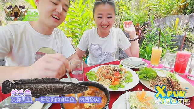 中国美食探秘 中国美食图鉴
