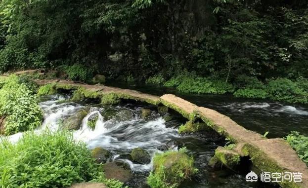 云南保山市高黎贡山旅游度假区1日游民宿价格一览表,保山高黎贡山旅游攻略