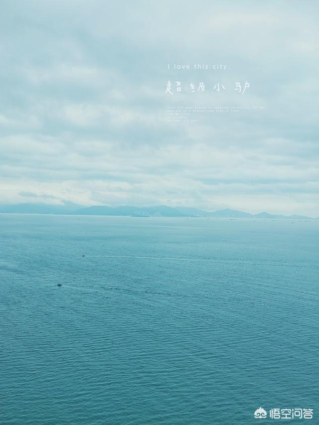 惠州市惠东县纸飞机账号购买