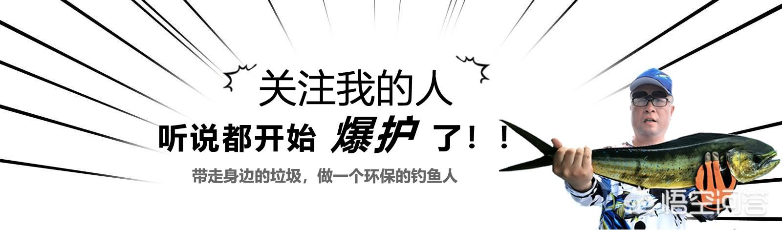 鱼竿时间久怎么保养(图4)