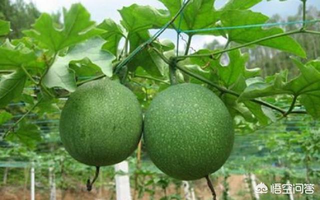 变压器密封用的橡胶密封制品一般都用哪些原材料呢？