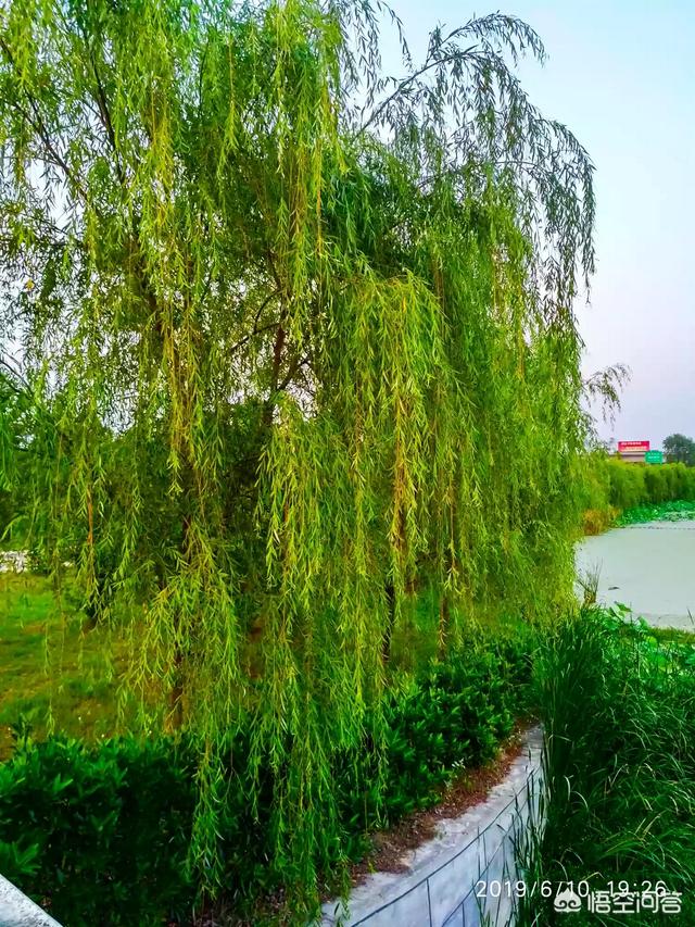 铁岭旅游露营攻略路线， 铁岭旅游露营攻略路线图