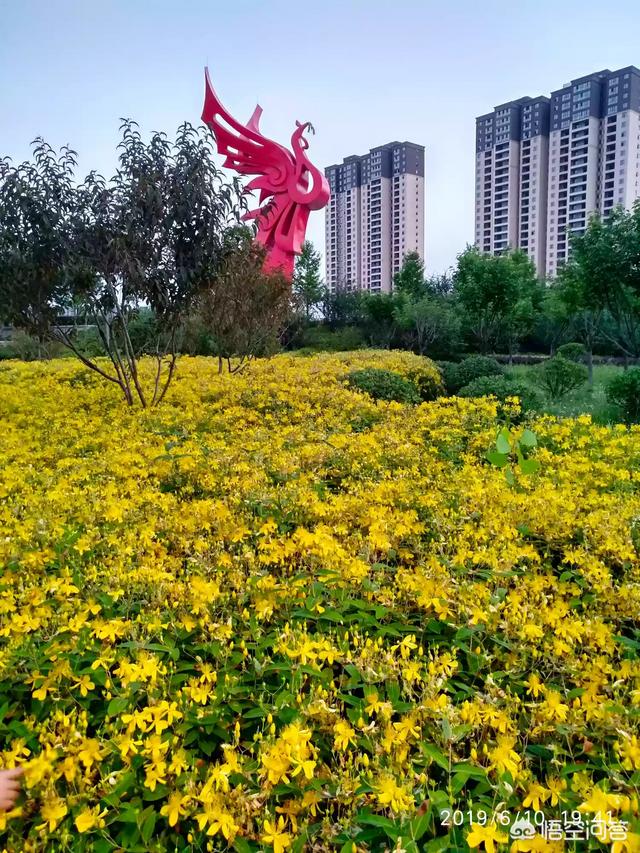 铁岭旅游露营攻略路线， 铁岭旅游露营攻略路线图