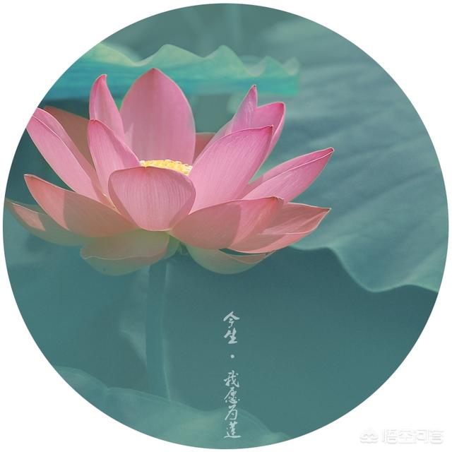 景深计算器-景深计算器app