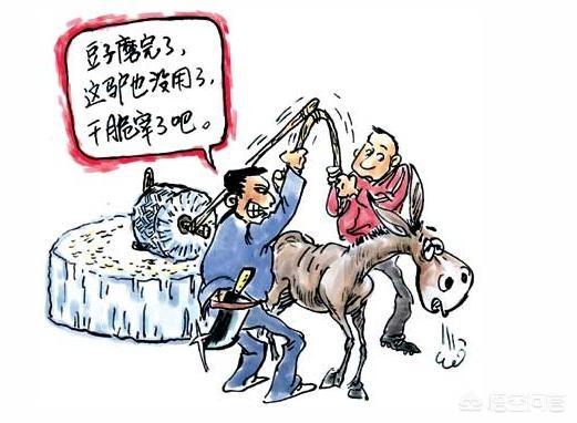 卸磨杀驴的故事（卸磨杀驴的故事启示）