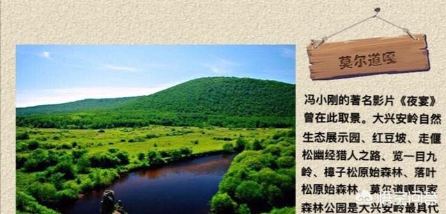 临沂市太平奶茶店地址在哪里