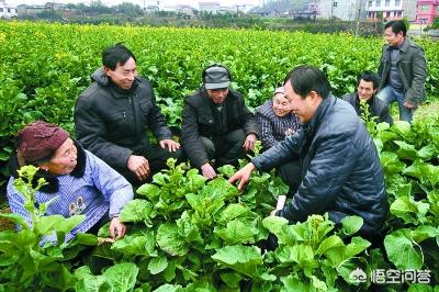 农业技术员前途如何急