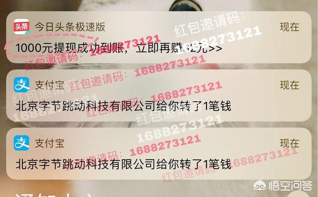 爱奇艺如何取消微零花? 爱奇艺怎么关闭零钱plus!