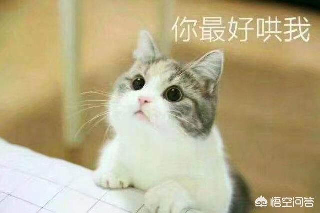 起早上班早的幽默句子，形容起得早的搞笑句子