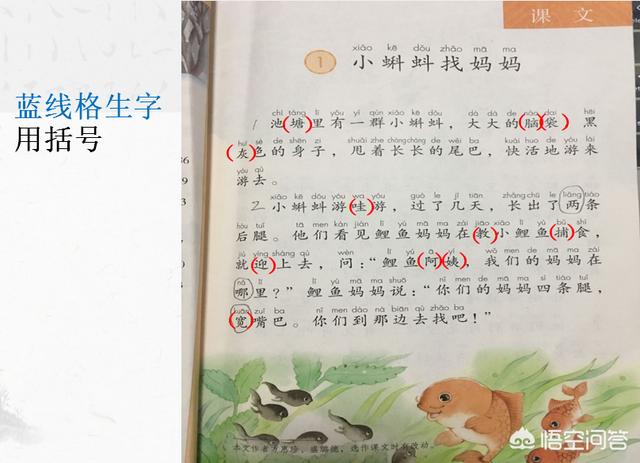 一年级上册复习卡怎么做(图5)