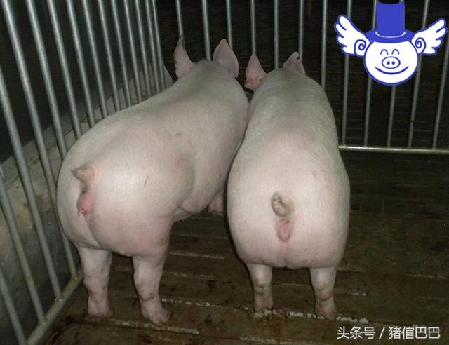 女人有什么办法不怀孕(图1)