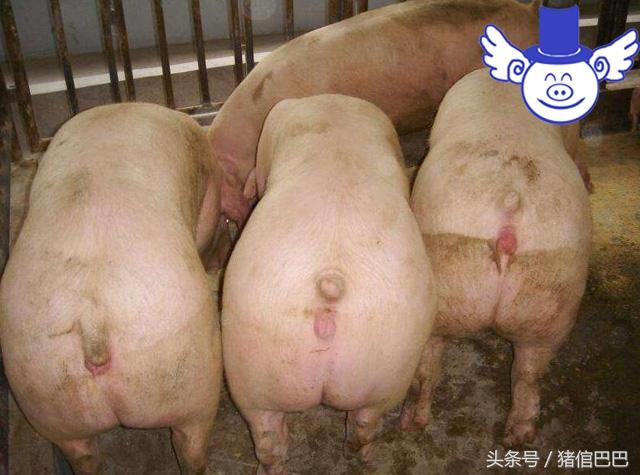 女人有什么办法不怀孕(图2)