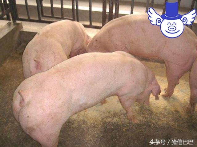 女人有什么办法不怀孕(图3)