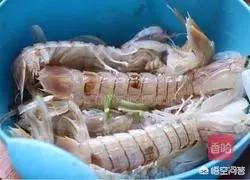 皮皮虾 椒盐 怎么吃(图3)