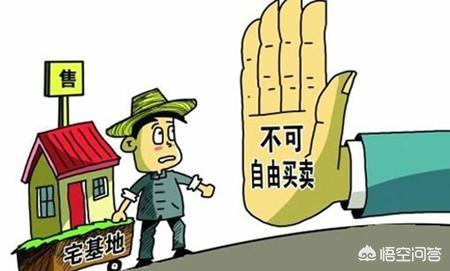 买地合同协议书怎么写(图2)