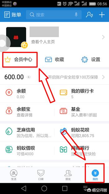 蚂蚁积分（支付宝怎么查看蚂蚁积分,蚂蚁积分怎么兑换？）