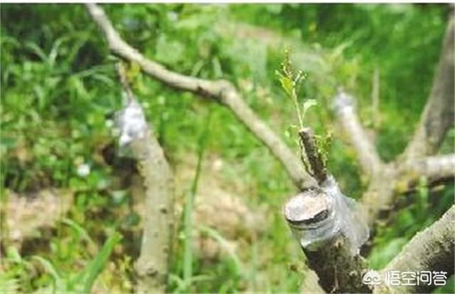 温州市瓯海区果汁店在哪里