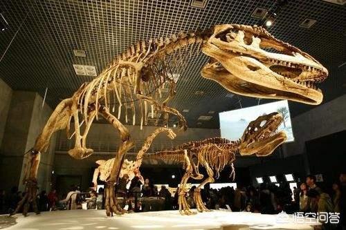 临沂市金丰公司怎么样呀