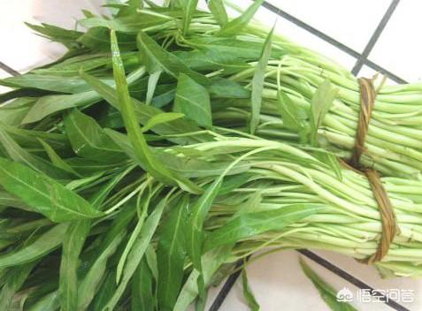 泰国空心菜粉的做法视频